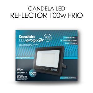 REFLECTOR LED IP65 100W LUZ FRIA