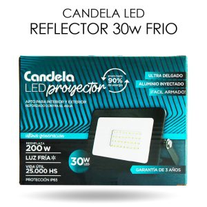 REFLECTOR LED IP65 30W LUZ FRIA