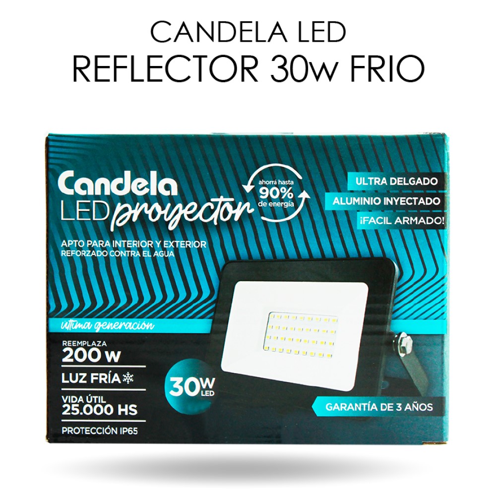 REFLECTOR LED IP65 30W LUZ FRIA
