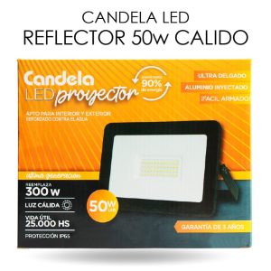 REFLECTOR LED IP65 50W LUZ FRIA