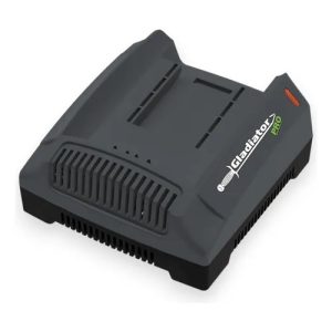 Cargador de Línea Recargable 42V